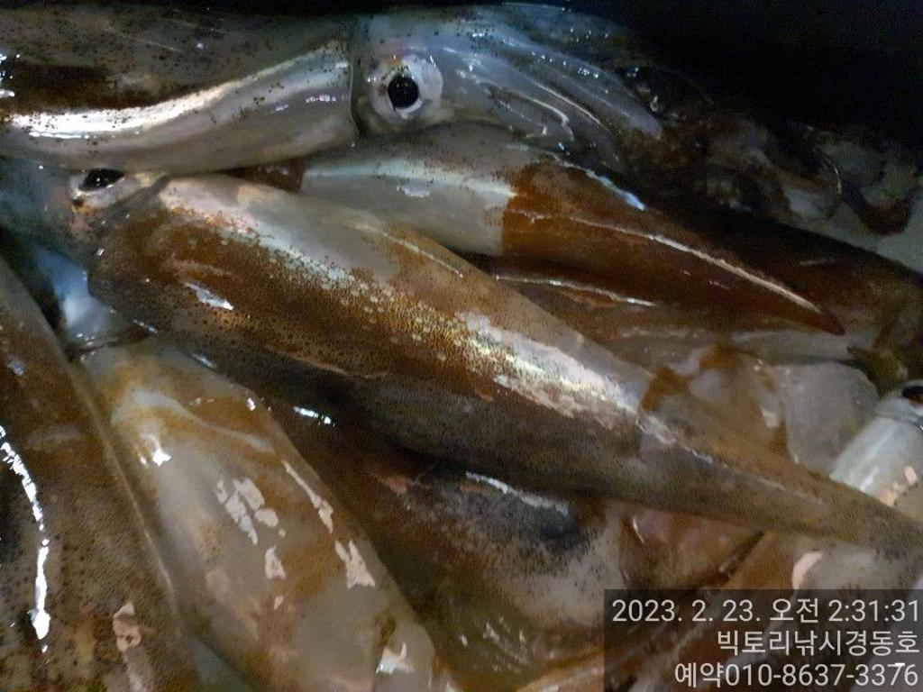 F1988274CZ.jpg