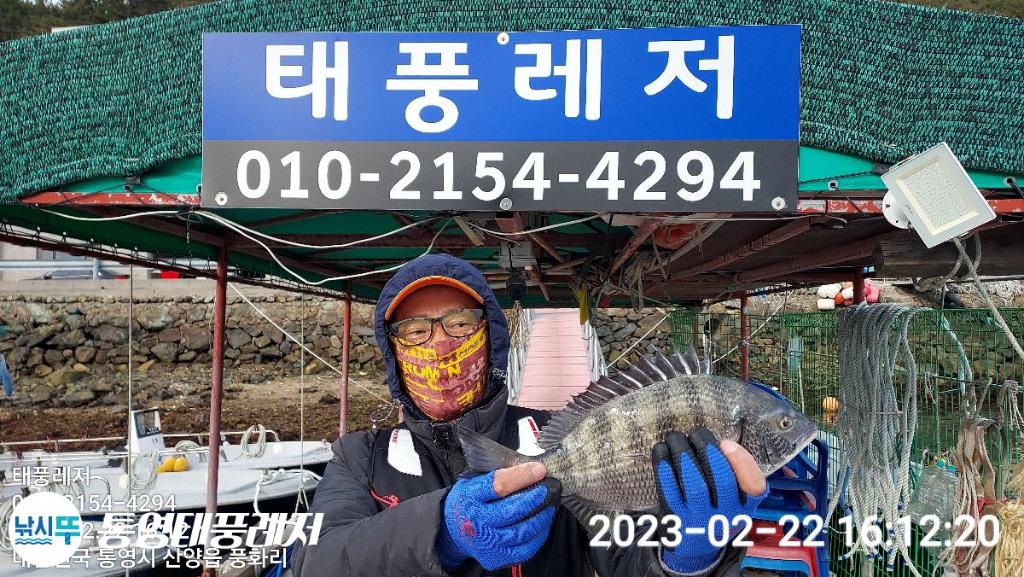 낚시뚜,감성돔,풍화리 장촌마을,통영태풍레저,낚시뚜6