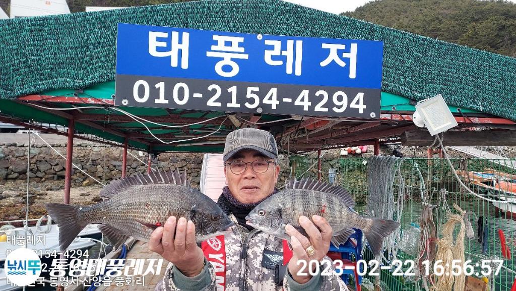 낚시뚜,감성돔,풍화리 장촌마을,통영태풍레저,낚시뚜3