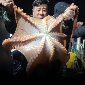 조황, 포항 싹쓰리호 피문어 조항입니다 