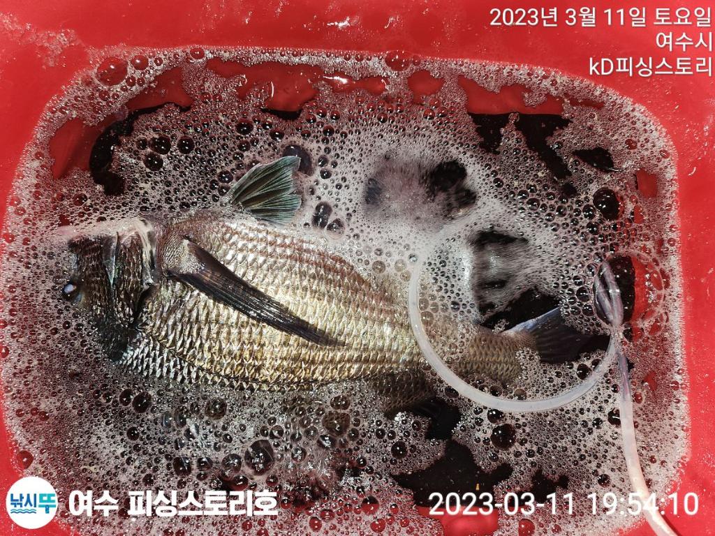 F20055526F.jpg