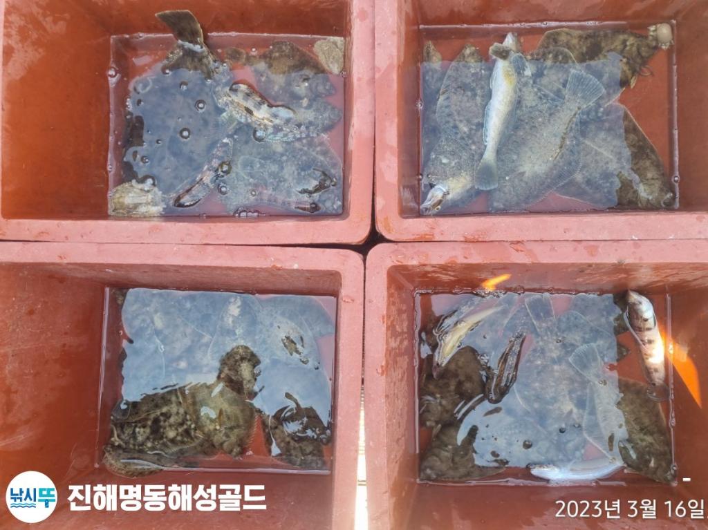 F2009588PU.jpg
