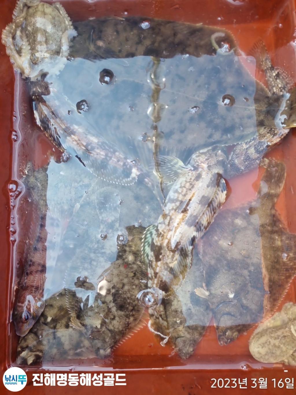 F2009594GH.jpg
