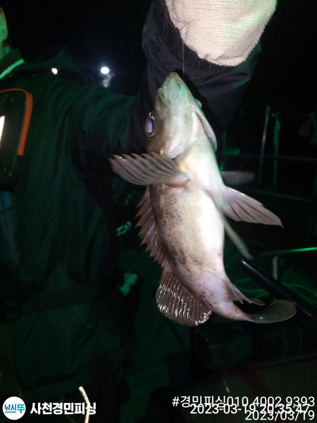 F2013023P7.jpg