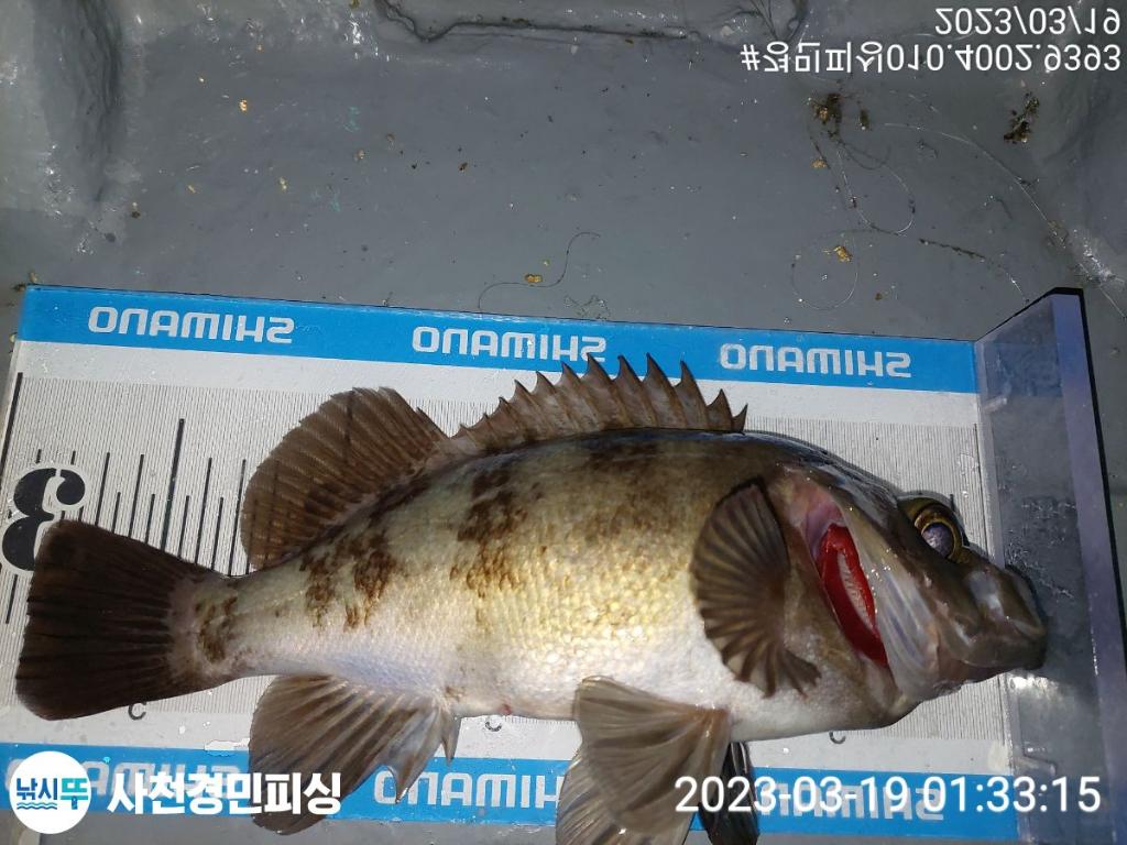 F2013024ZI.jpg