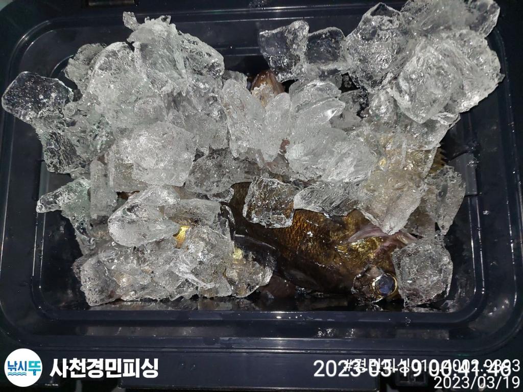 F2013025HI.jpg