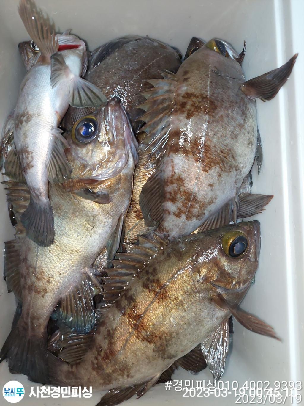 F201303016.jpg
