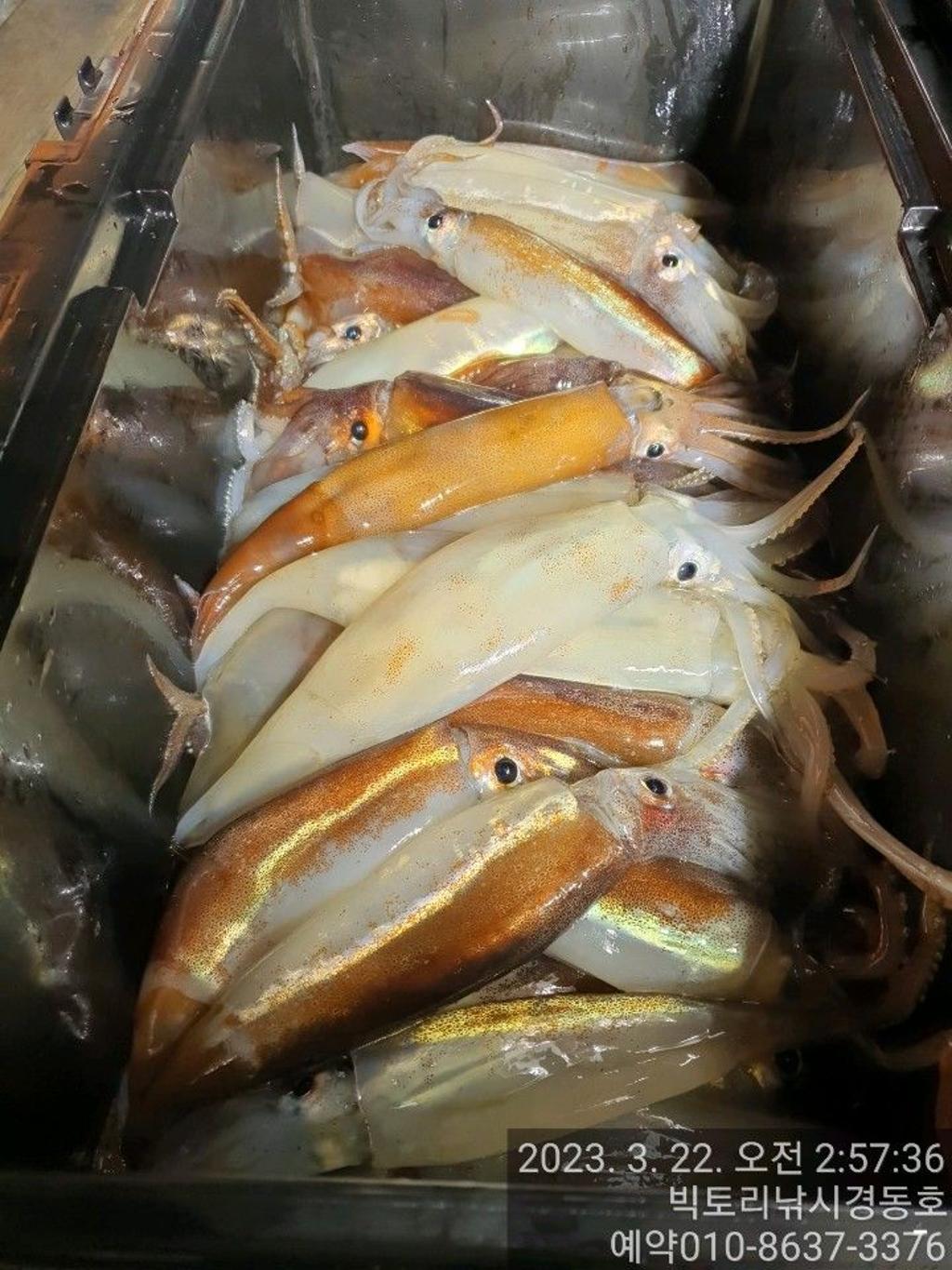 F201491036.jpg