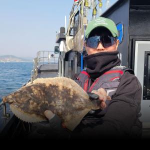 조황, 포항 싹쓰리호 도다리 가자미 출조모집합니다