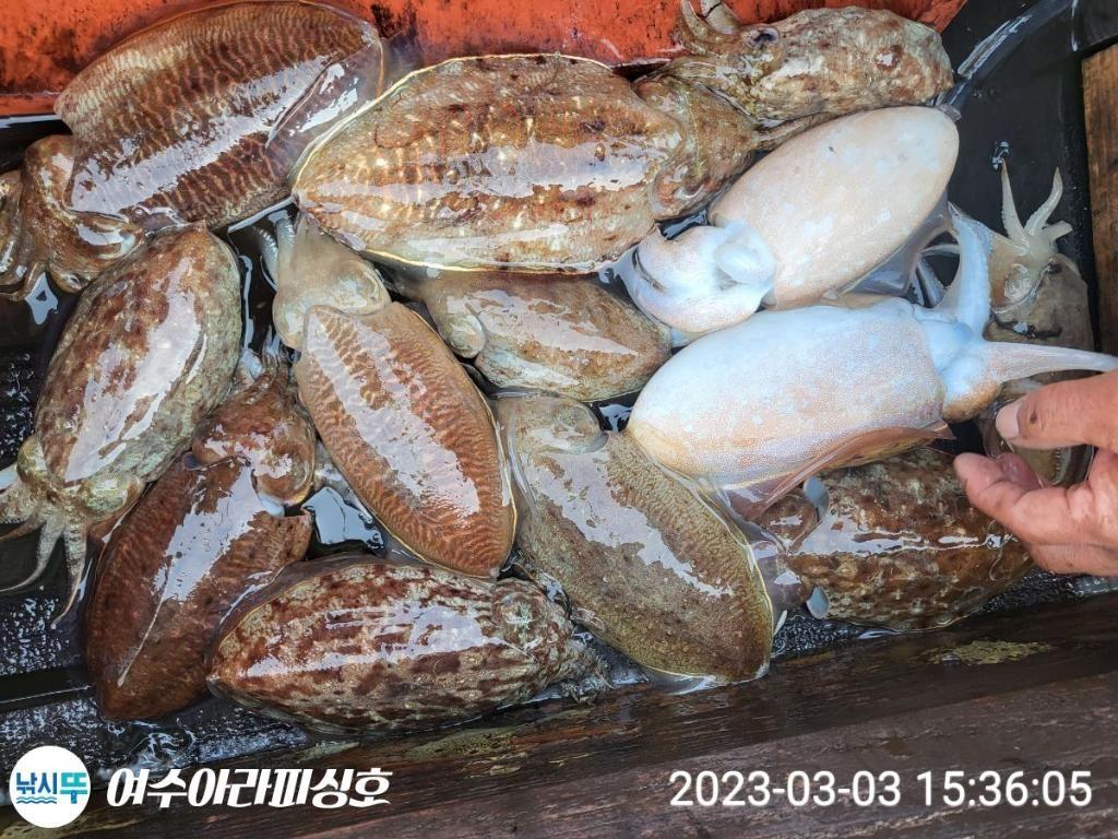 F2016332S0.jpg