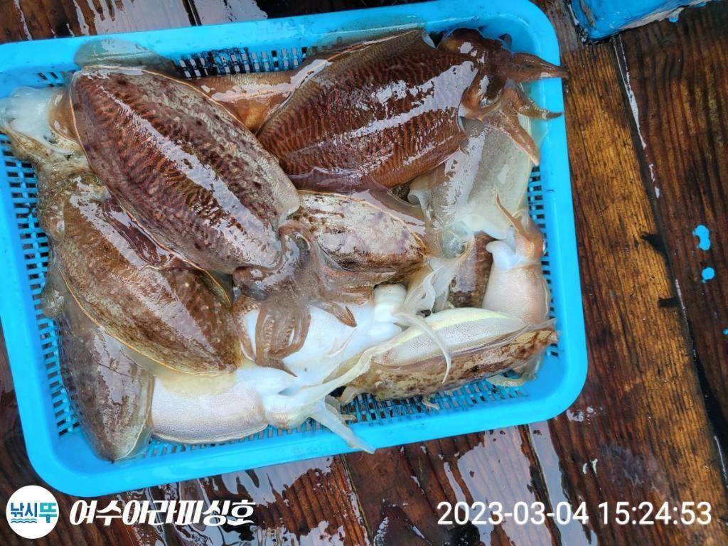 F201635245.jpg