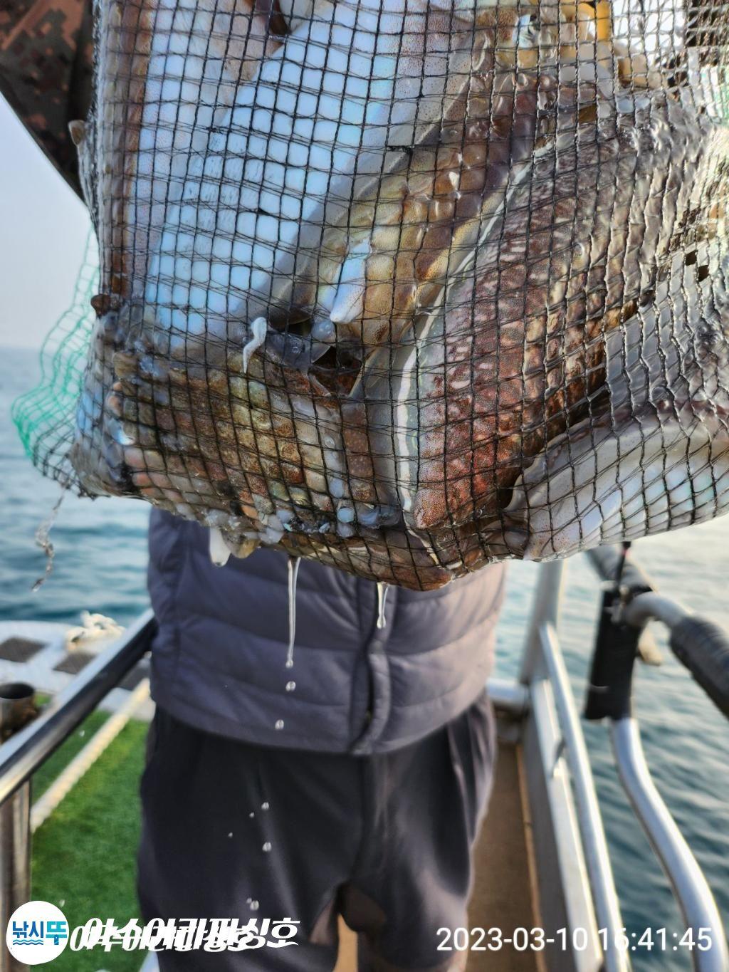 F2016363KG.jpg