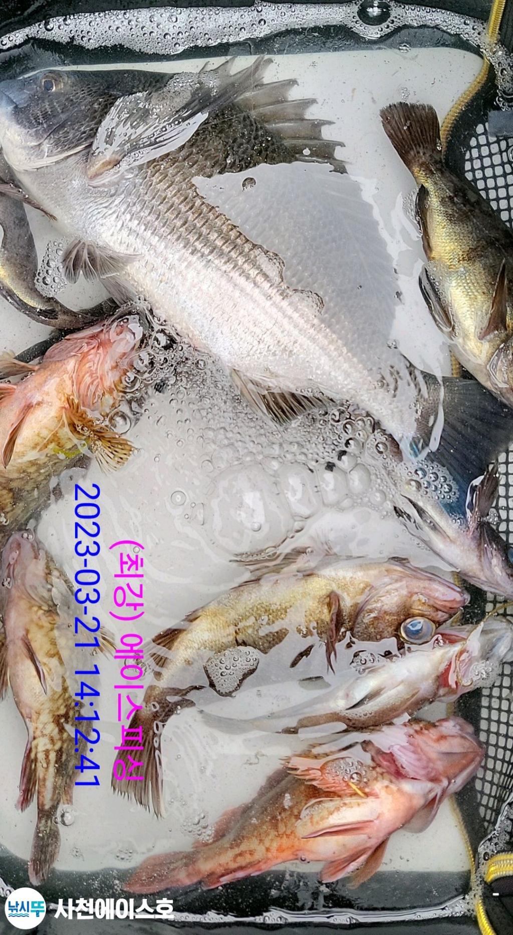 F2022246SH.jpg