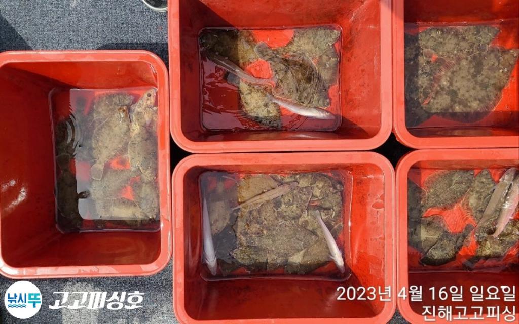 낚시뚜,,속천항(진해),고고피싱호,낚시뚜12