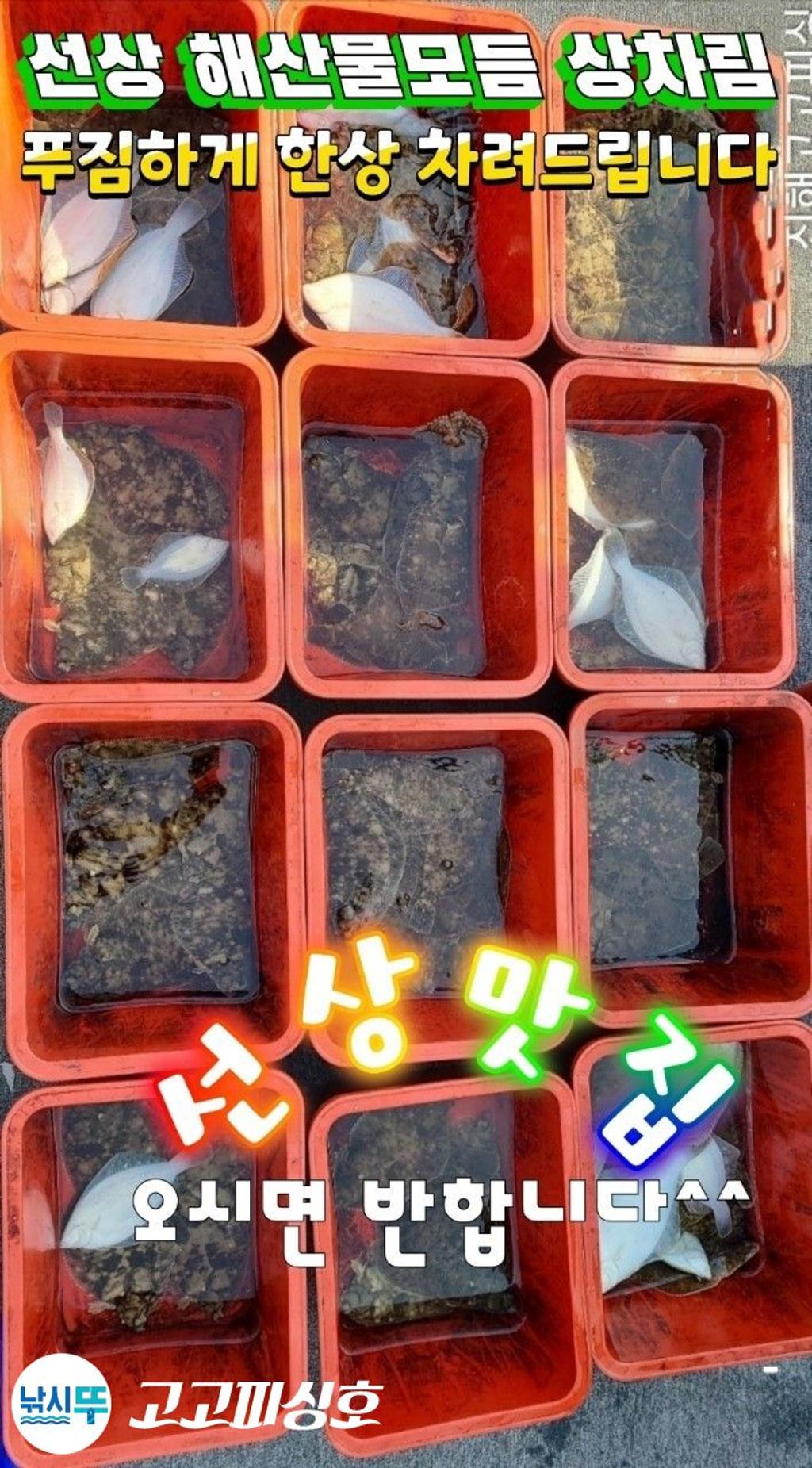 낚시뚜,,속천항(진해),고고피싱호,낚시뚜9