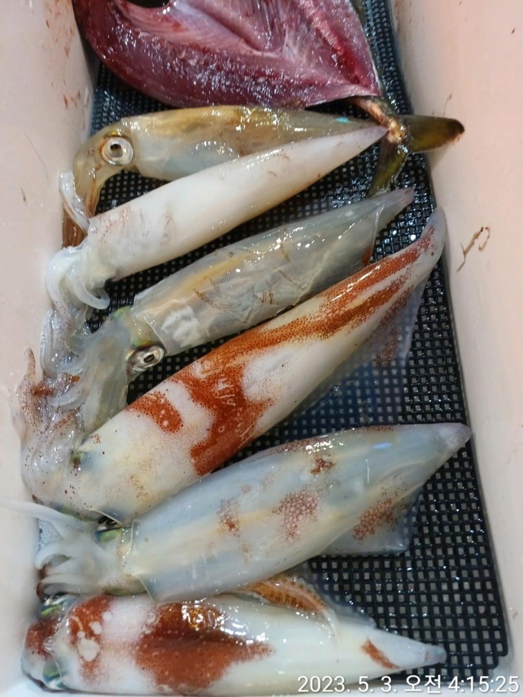 F20409034X.jpg