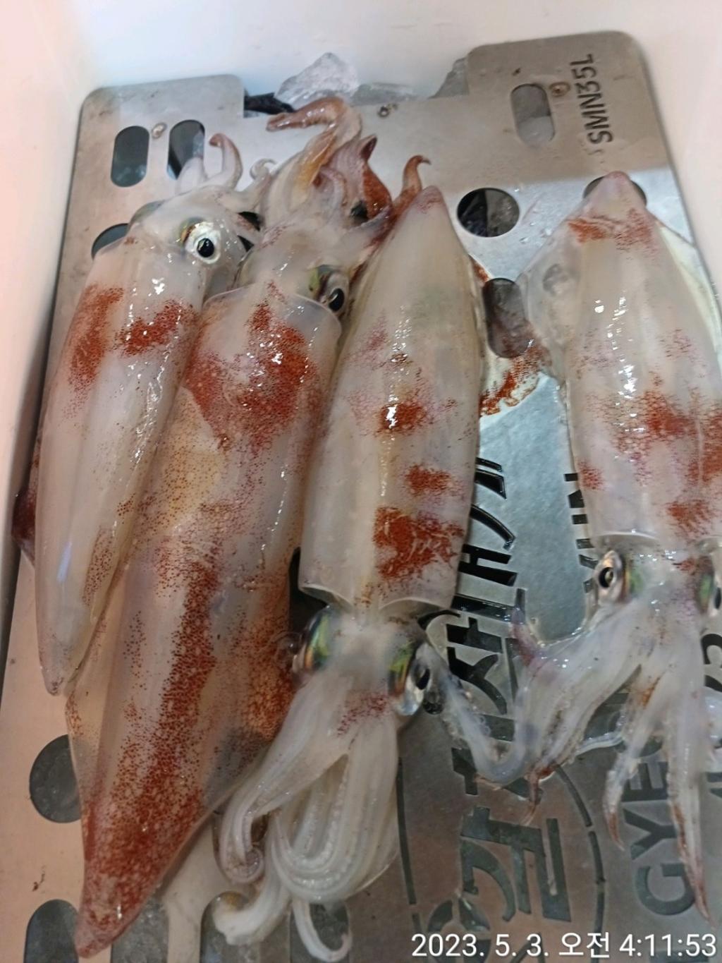 F2040906UQ.jpg