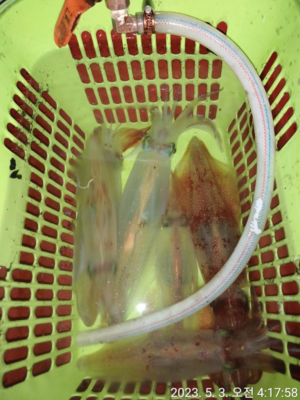 F2040921YP.jpg