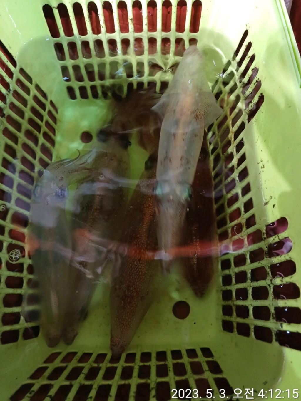 F2040922CD.jpg