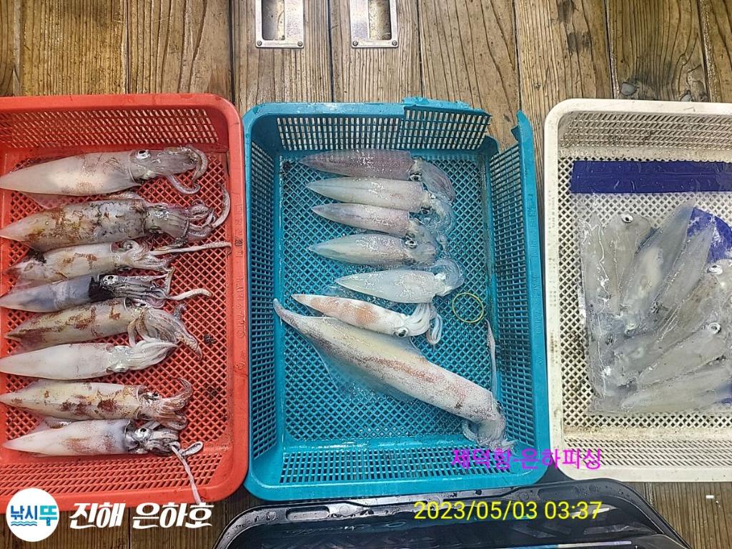 F2041026OL.jpg