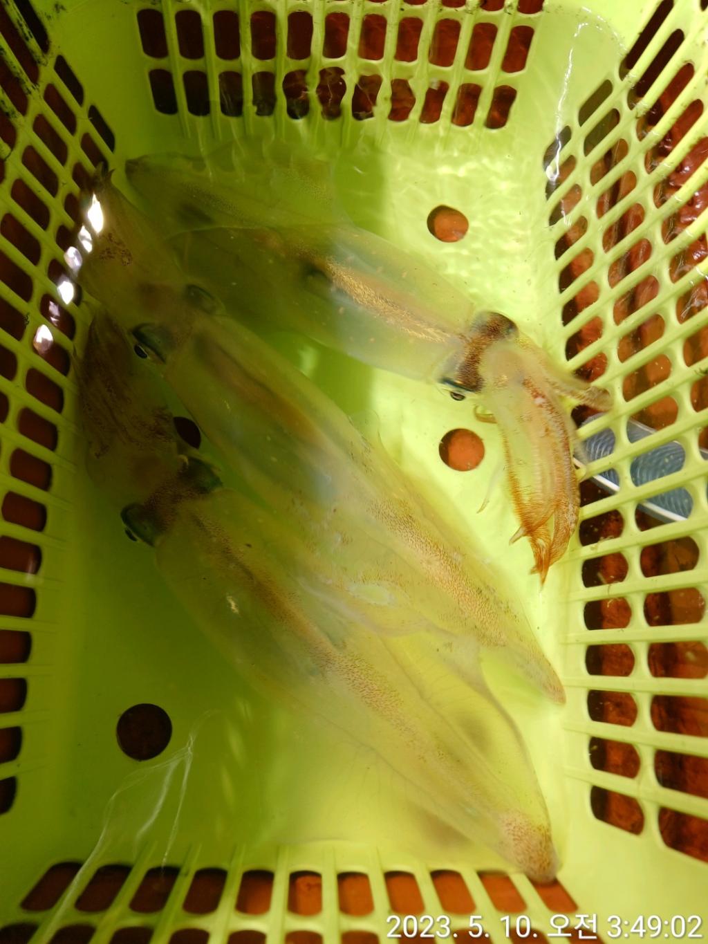 F2043011JB.jpg