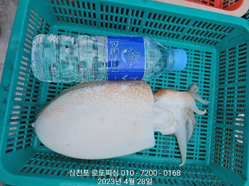 F20440917D.jpg