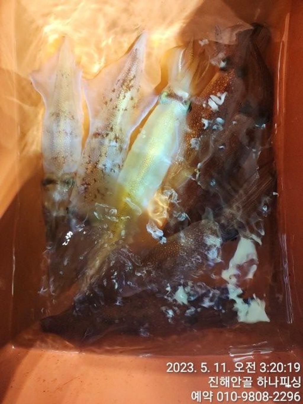 F204424842.jpg