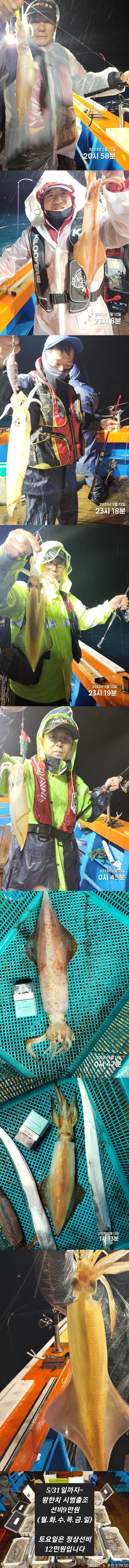 기타 (직접입력), 삼포대교낚시, 낚시뚜