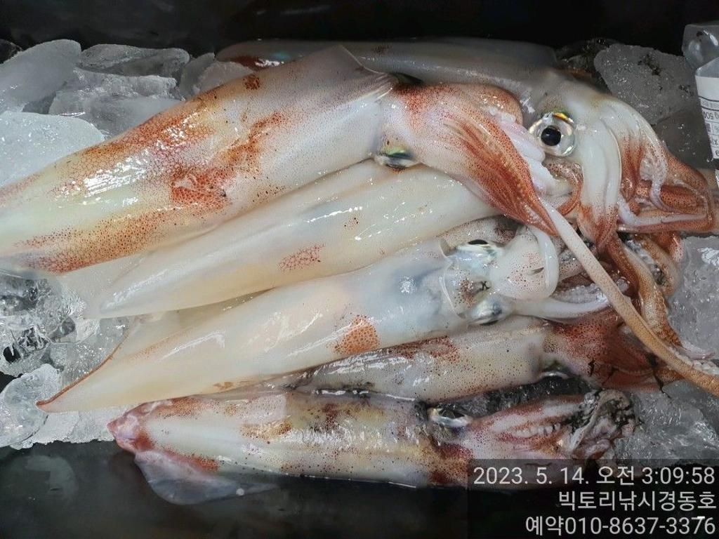 F20488809U.jpg