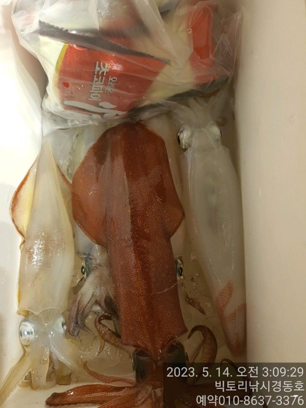 F204888102.jpg