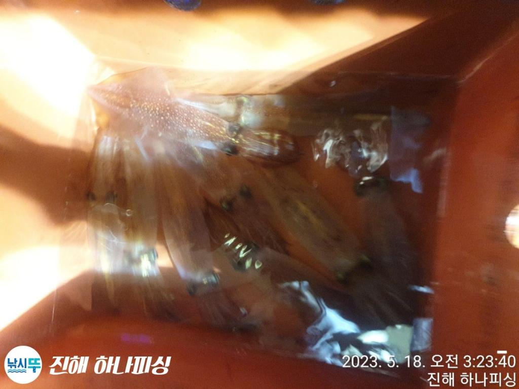 F2050711UL.jpg