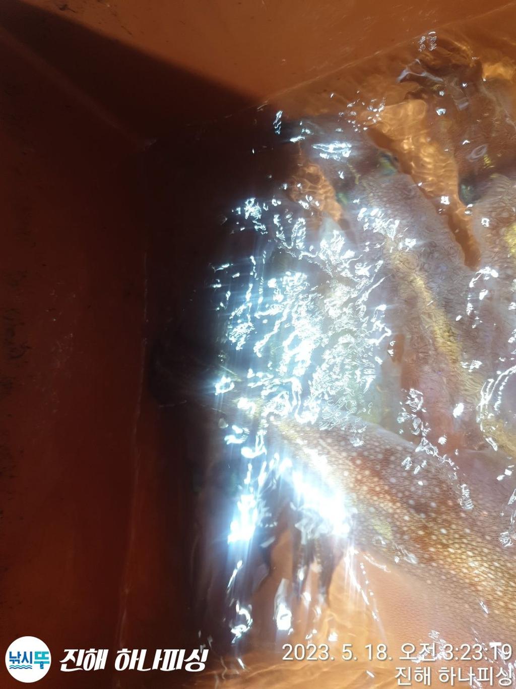 F2050713LM.jpg