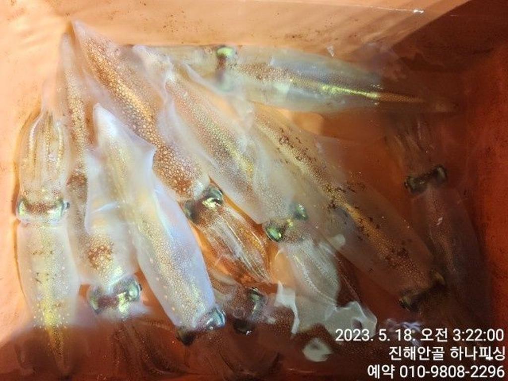 F2050718BY.jpg