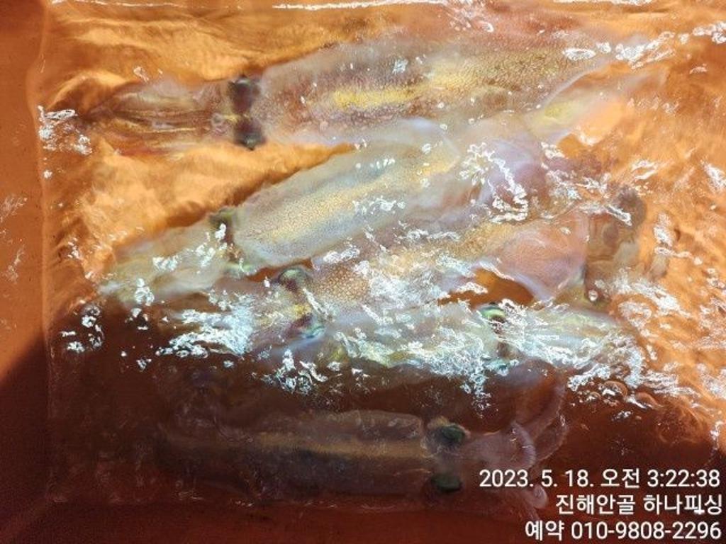 F2050721ND.jpg