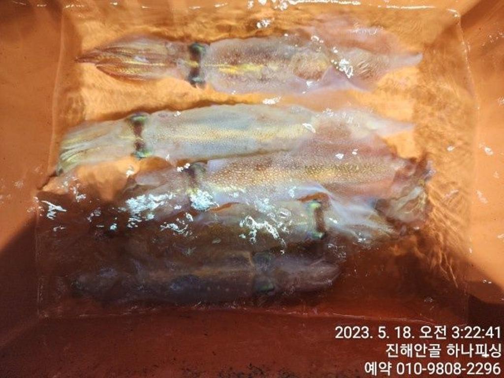 F2051345ED.jpg
