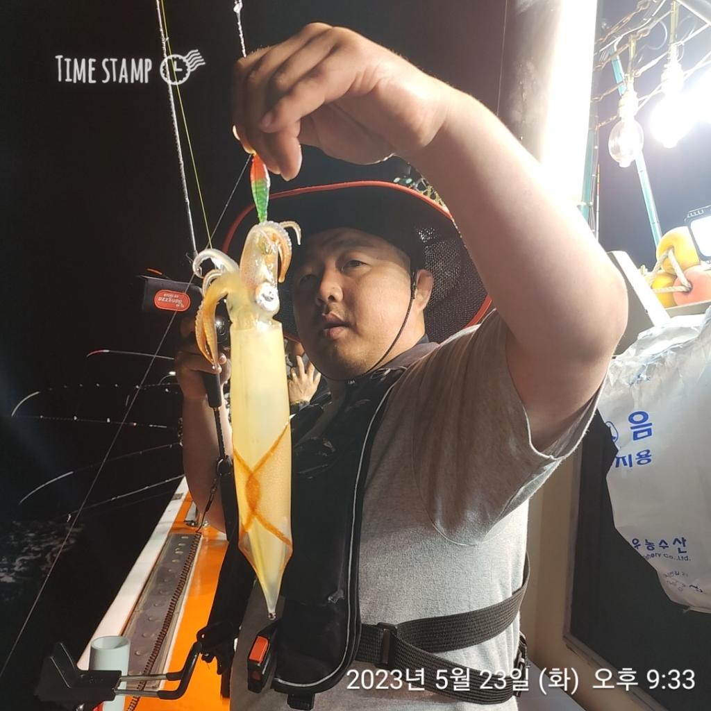 F20557175T.jpg