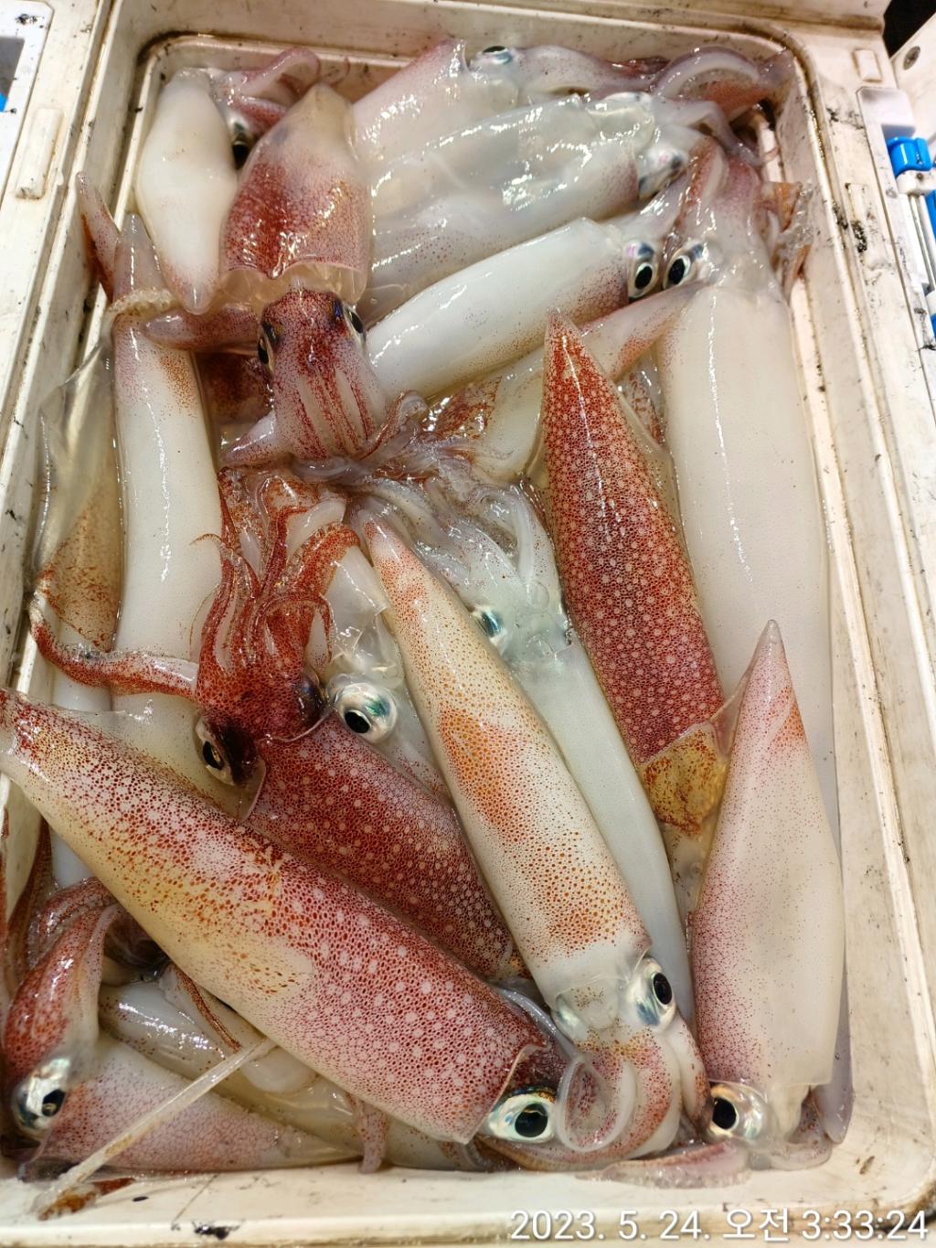 F2055730VU.jpg