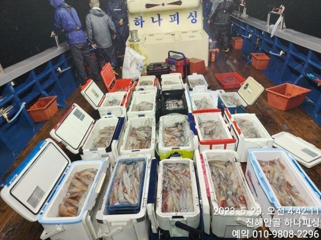 낚시뚜,한치,진해 안골항,진해 하나피싱,낚시뚜1