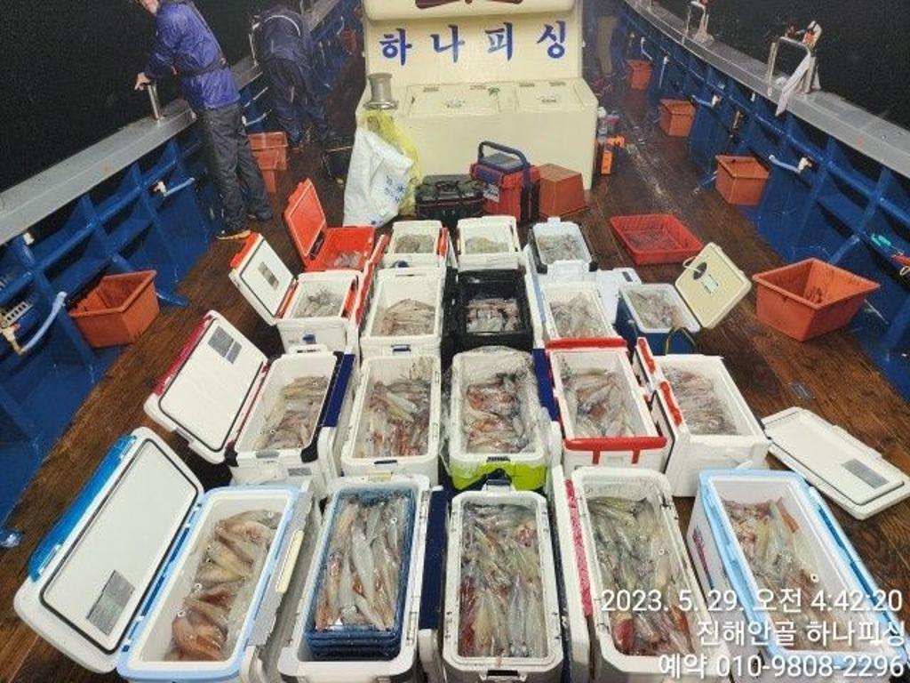 낚시뚜,한치,진해 안골항,진해 하나피싱,낚시뚜0