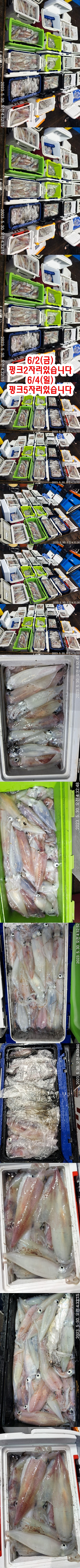 기타 (직접입력), 삼포대교낚시, 낚시뚜