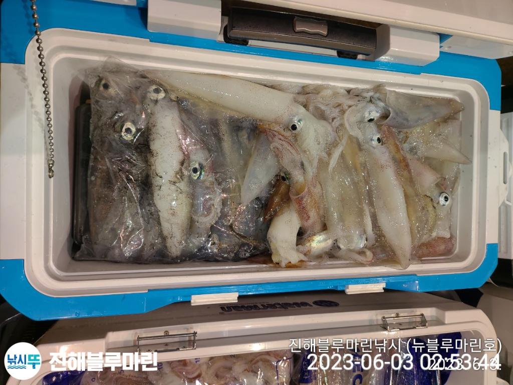 F2067751PT.jpg