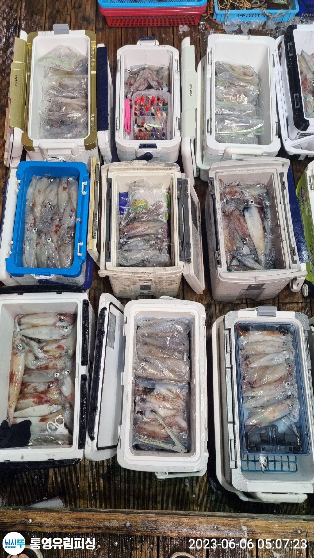낚시뚜,한치,통영미수동방파제,통영유림피싱,낚시뚜19