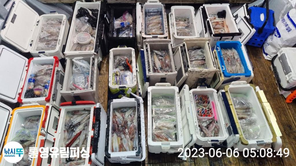 낚시뚜,한치,통영미수동방파제,통영유림피싱,낚시뚜17