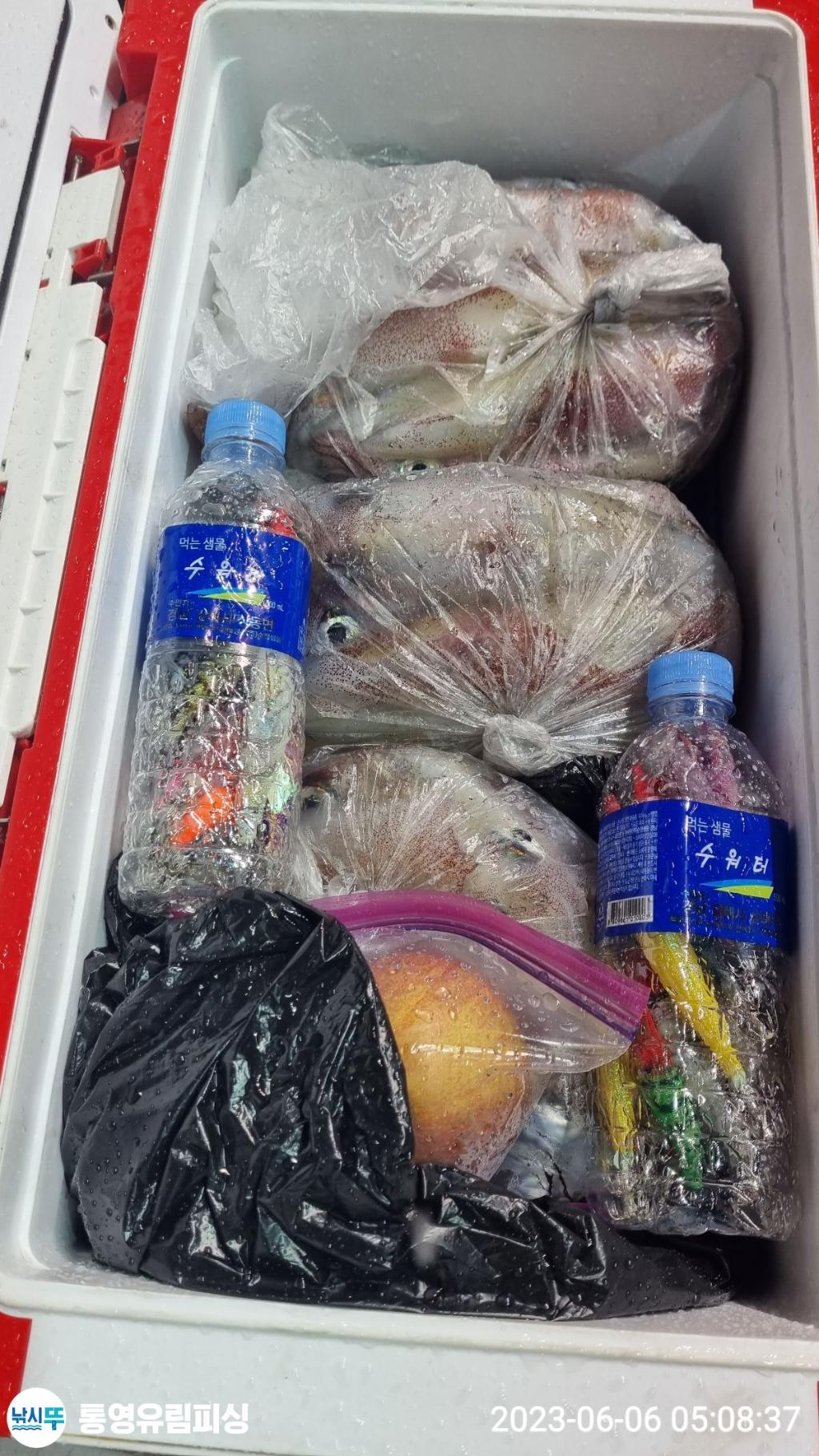 낚시뚜,한치,통영미수동방파제,통영유림피싱,낚시뚜10