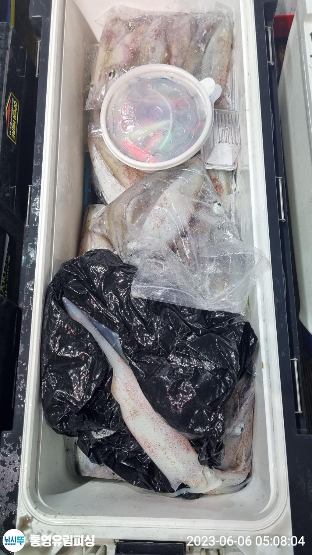 낚시뚜,한치,통영미수동방파제,통영유림피싱,낚시뚜5