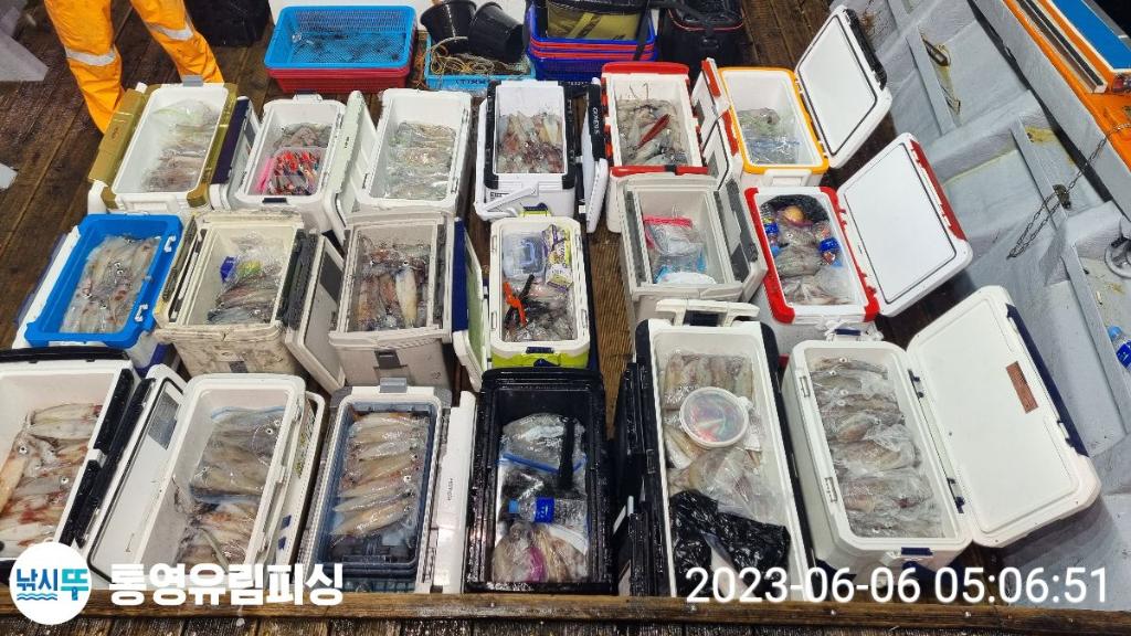 낚시뚜,한치,통영미수동방파제,통영유림피싱,낚시뚜0