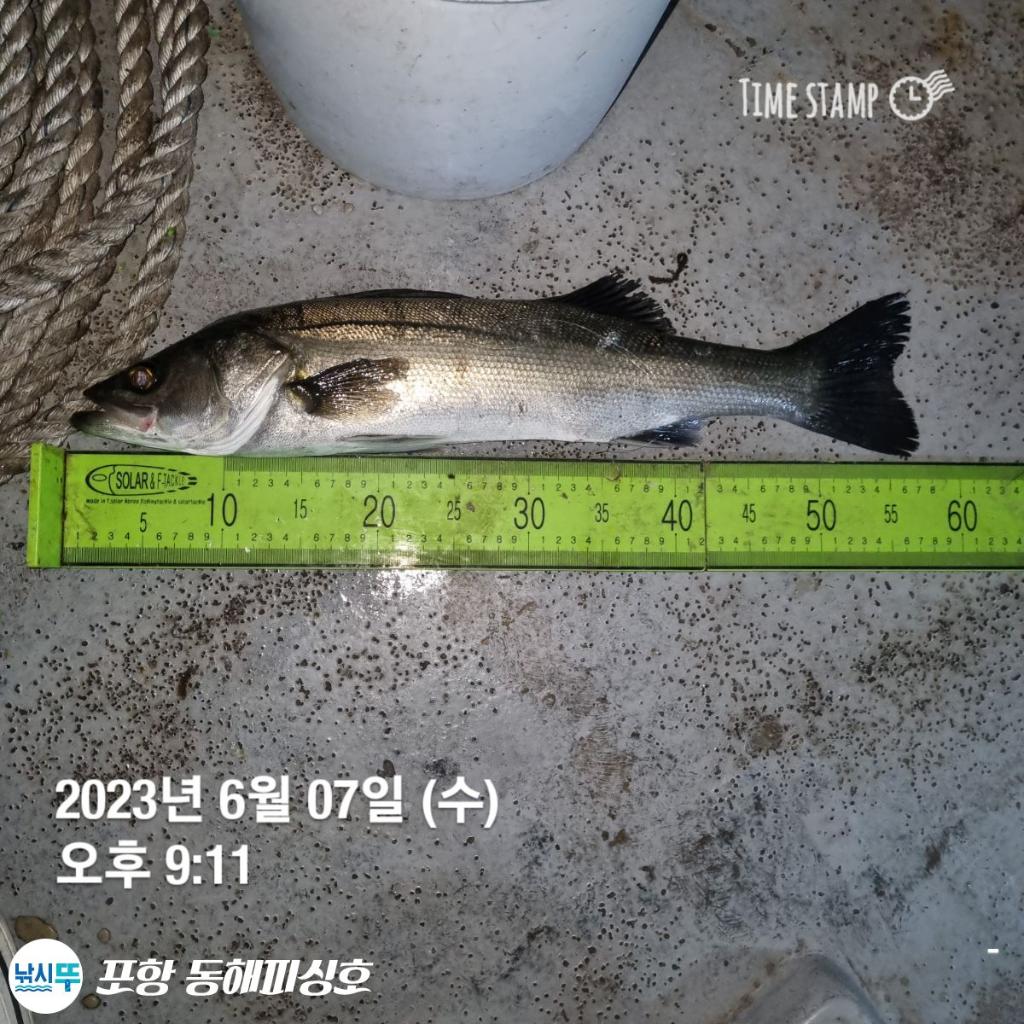 F20746260R.jpg