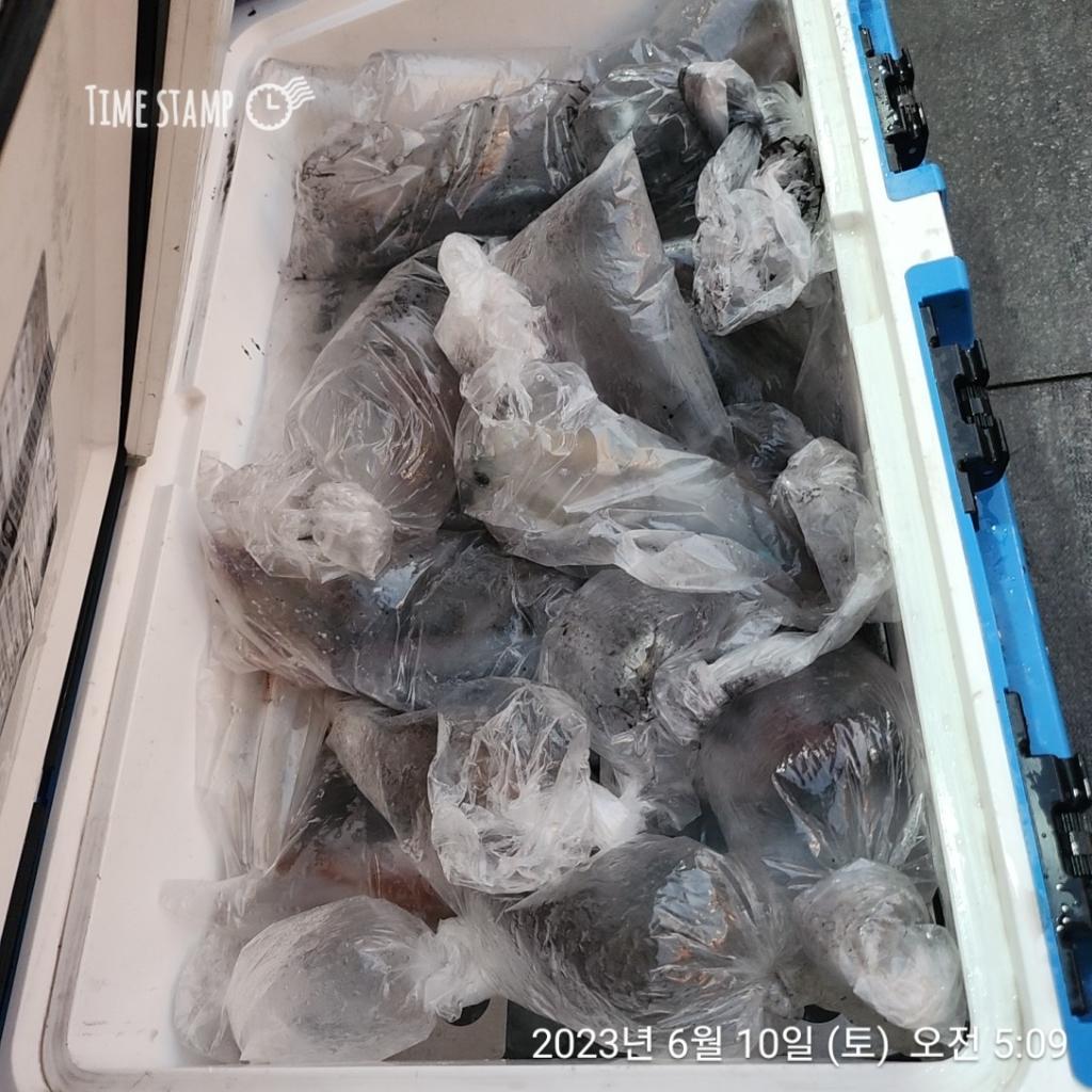 F2077943KO.jpg