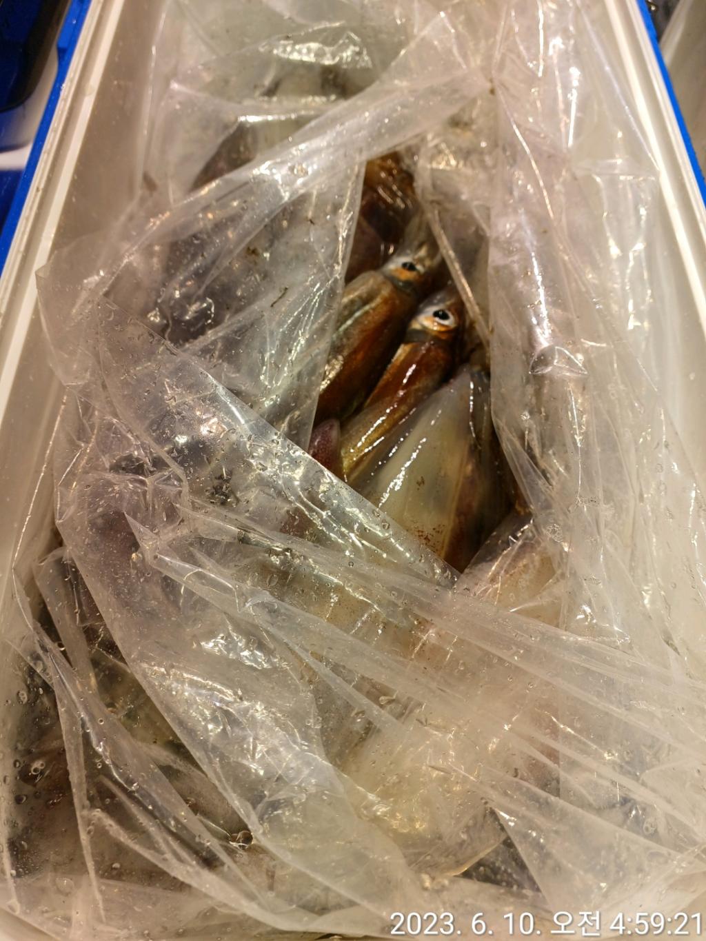 F2077946LQ.jpg