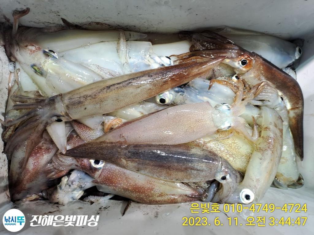 F2078622GU.jpg